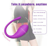 ویبراتور لش ماهی شورتی